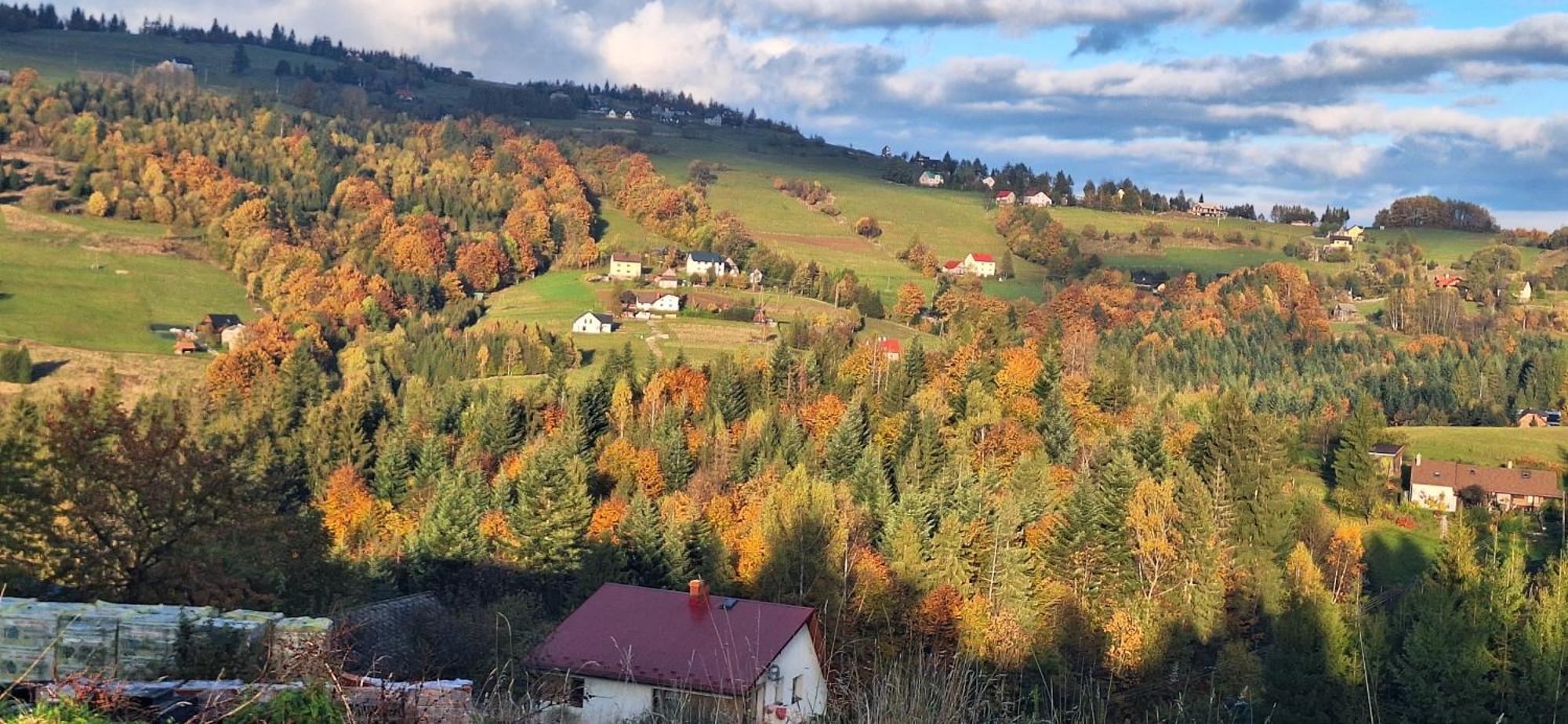 Agroturystyka Koronkowe Zacisze Koniaków Εξωτερικό φωτογραφία