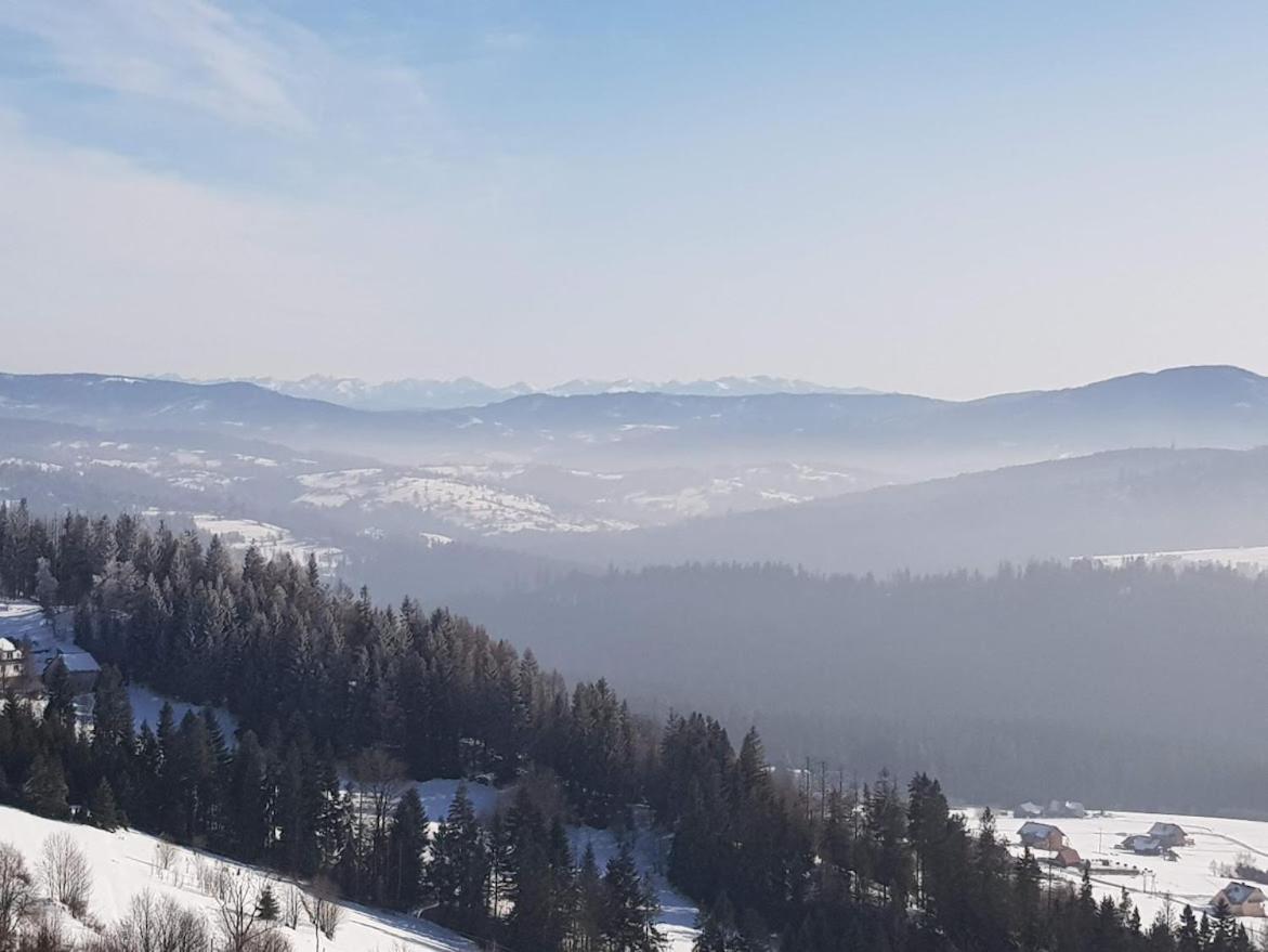 Agroturystyka Koronkowe Zacisze Koniaków Εξωτερικό φωτογραφία