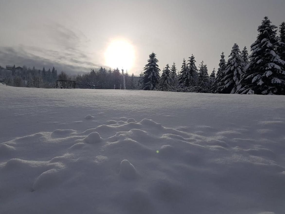 Agroturystyka Koronkowe Zacisze Koniaków Εξωτερικό φωτογραφία
